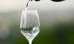 餐厅爆料视频素材下载大全,一网打尽美食行业幕后瞬间