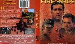 《火鸟出击》在线观看,燃烧激情，翱翔蓝天，揭秘现代空战传奇